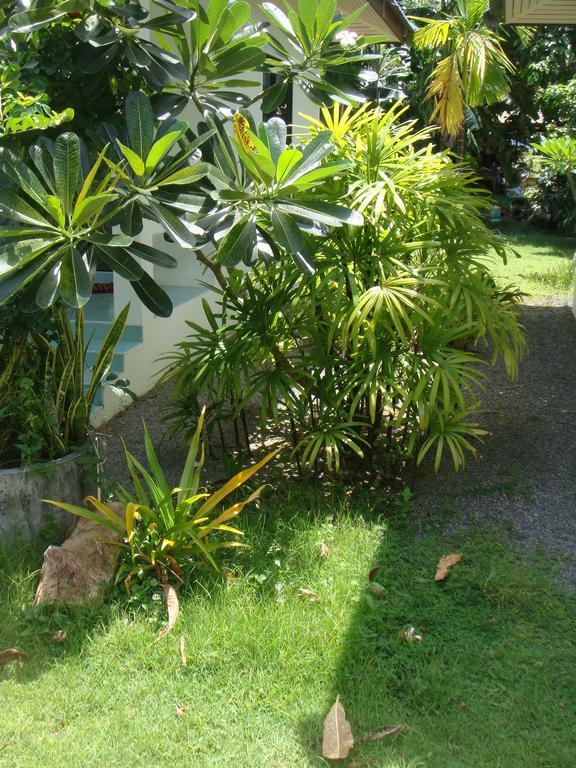 Baan Kuasakul Resort Mae Nam Bagian luar foto